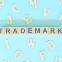 TrademarkLitigation