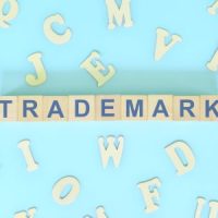 TrademarkLitigation